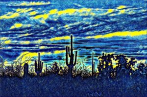 Starry Saguaros 