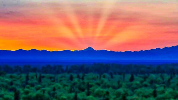 Midnight Sunset